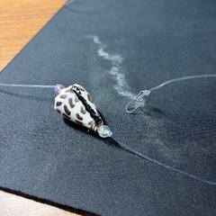 シガヤーダコ 仕掛け🐙🐙の画像