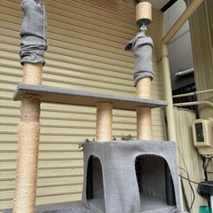 キャットタワー② 受け渡し者決定の画像