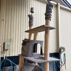 キャットタワー② 受け渡し者決定の画像