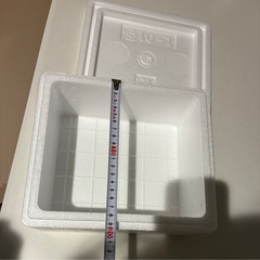 月曜日まで掲載【新品】小さいめ発泡スチロールの画像