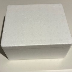 月曜日まで掲載【新品】小さいめ発泡スチロールの画像