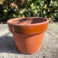 植木鉢の画像