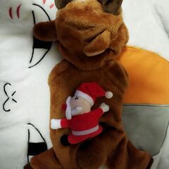 犬の服2点(牛、トナカイとサンタ)の画像