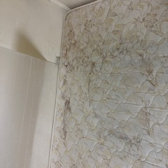 フランスベッド　マットレス　の画像