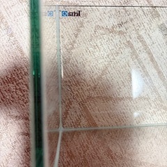 ガラス水槽1本(𝐓𝐞𝐭𝐫𝐚)の画像