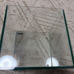 ガラス水槽1本(𝐓𝐞𝐭𝐫𝐚)の画像