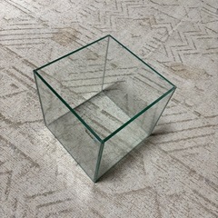 ガラス水槽1本(𝐓𝐞𝐭𝐫𝐚)の画像