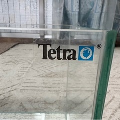 ガラス水槽1本(𝐓𝐞𝐭𝐫𝐚)の画像