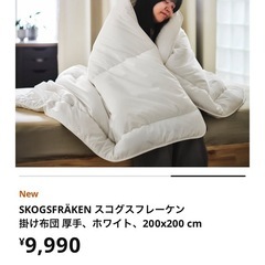 【美品】IKEAかけ布団ダブルの画像