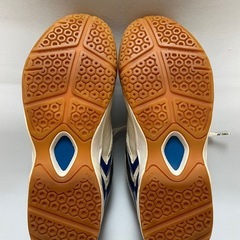 ヨネックス　24.5cmの画像