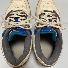 ヨネックス　24.5cmの画像