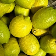 因島産レモン　
8キロの画像