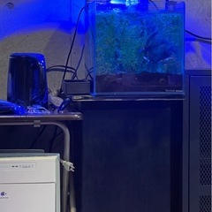 水槽の画像