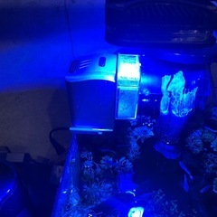 水槽の画像