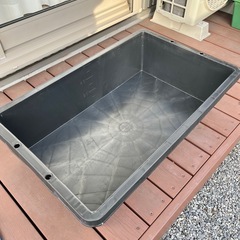 ✨美品✨60Lトロ船・タフ船　グリーン・ブラック　メダカ・針子・金魚飼育に🐟の画像