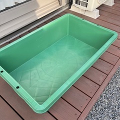 ✨美品✨60Lトロ船・タフ船　グリーン・ブラック　メダカ・針子・金魚飼育に🐟の画像