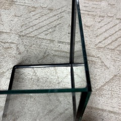 ガラス水槽1本の画像