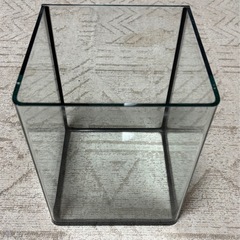 ガラス水槽1本の画像