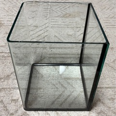 ガラス水槽1本の画像