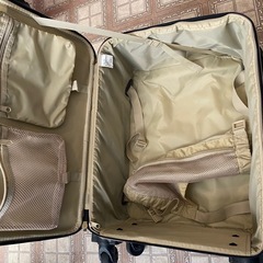 キャリーバックの画像