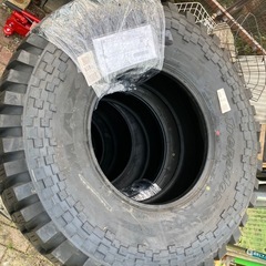 マキシス　トレパドール　の画像