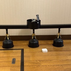 シーリングライト スポットライト IKEAの画像