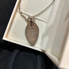 アリゾナフリーダム(お取引き中)　の画像