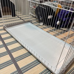 ペット用ケージ【受渡し者決定】の画像