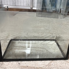 ガラス水槽1本の画像