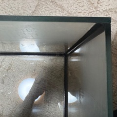 ガラス水槽1本の画像