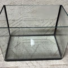 ガラス水槽1本の画像