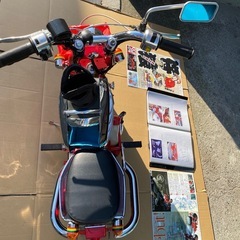 小猿　ござる　CZ70 ワンオフカスタム､新車の画像