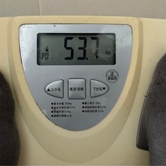 体重計 無料の画像