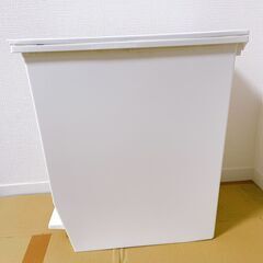 ゴミ箱　ウーデスマート 棚下で使えるペダルペール 35Lの画像