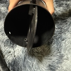 ヤシメガ初期の画像