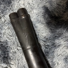 ヤシメガ初期の画像