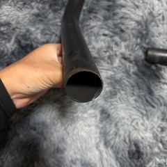 ヤシメガ初期の画像