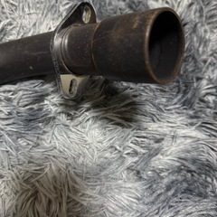 ヤシメガ初期の画像