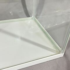 未使用 GEX マリーナスリム 水槽 M ホワイト 蓋付きの画像