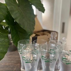 レア未発売カールスバーグワンパイント6脚
の画像