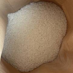 fine22 様 専用 新米 米 コメ 令和７年度産 キヌヒカリ 生産農家 精米 10キロ 10kg 滋賀産 現金払い 引き取り限定の画像