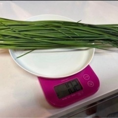 無農薬✨水菜・チンゲン菜・ニラ🥬の画像