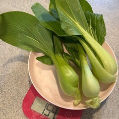 無農薬✨水菜・チンゲン菜・ニラ🥬の画像