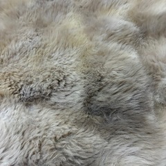 椅子カバー2点セットの画像