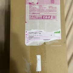 本日限定　ポケモンカード　トウホクのピカチュウ　の画像