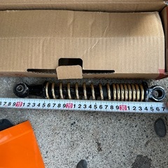 モンキーリアショックの画像