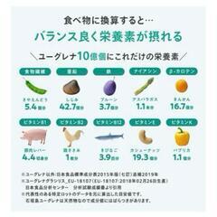 【新品未開封】からだにユーグレナ グリーンスムージー 乳酸菌 15本入 ユーグレナ 砂糖不使用の画像