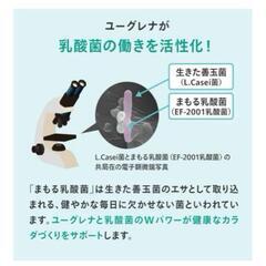 【新品未開封】からだにユーグレナ グリーンスムージー 乳酸菌 15本入 ユーグレナ 砂糖不使用の画像