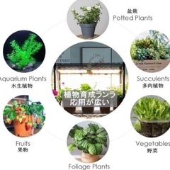 新品❤2個セット 植物育成ライト LED育成ライト 高輝度 水耕栽培 フルスペクトルの画像