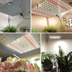 新品❤2個セット 植物育成ライト LED育成ライト 高輝度 水耕栽培 フルスペクトルの画像